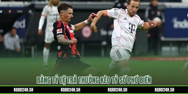 Odds trả thưởng kèo tỷ từ khung thấp đến khung cao bất ngờ