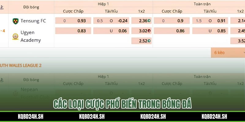 Phương pháp soi kèo nhà cái theo từng loại tỷ lệ cược phổ biến