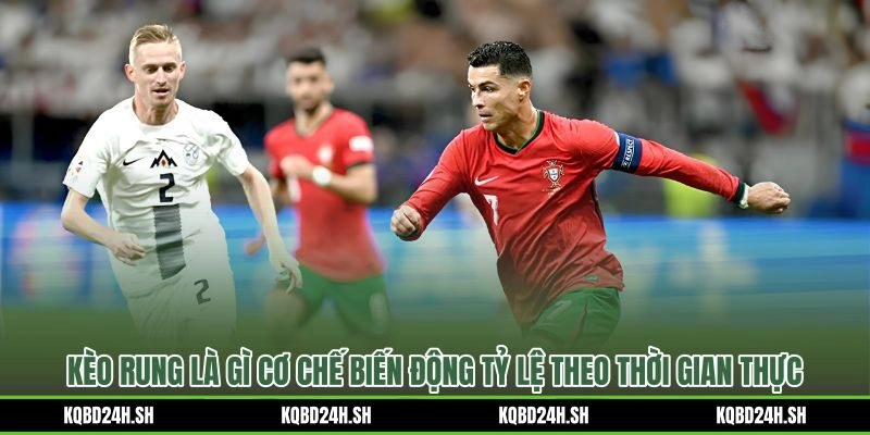 Kèo rung và cơ chế dịch chuyển odds theo từng pha bóng trực tiếp