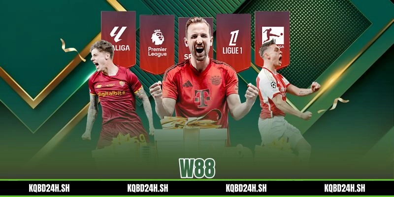 W88